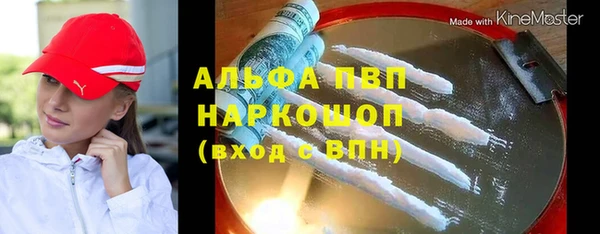 хмурый Алексин