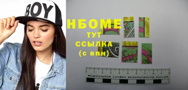 хмурый Алексин