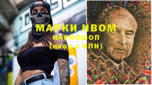 хмурый Алексин