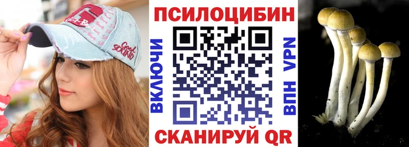 Купить где  Кущёвская  Галлюциногенные грибы Psilocybe 